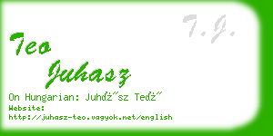 teo juhasz business card